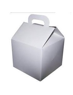 Caja Sorpresa Blanca X 1