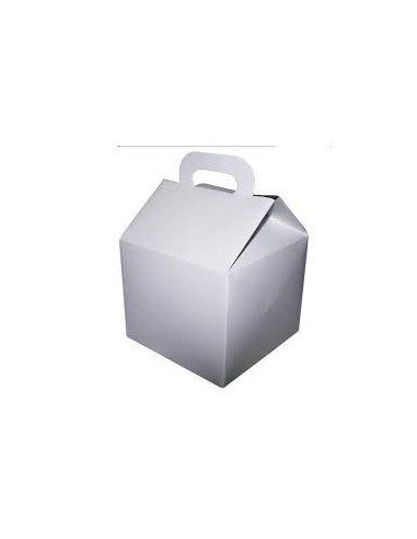 Caja Sorpresa Blanca X 1