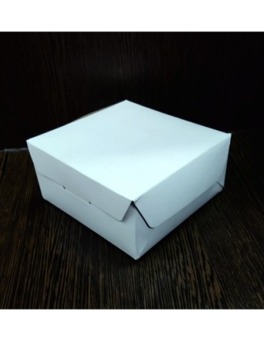 Caja Hamburguesas X 1