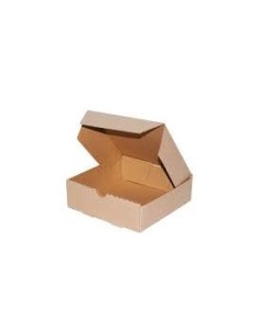 Micro Empanada X 6 M/m (18x18x6) X 1