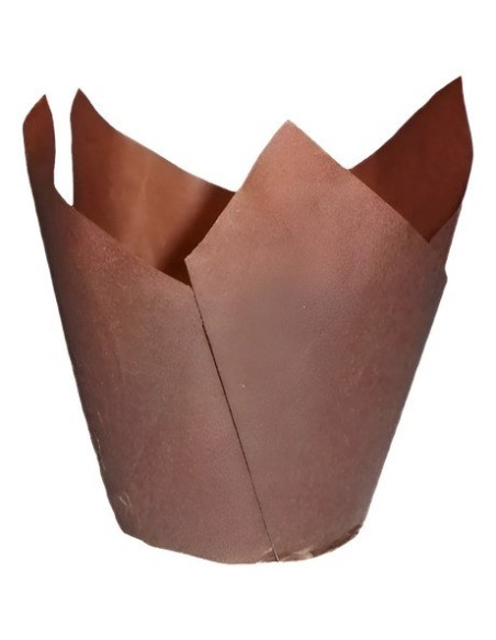 Tulipa Marron 50/80 X 1