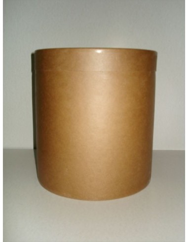 Tarro Carton 8.4 Kg X 1