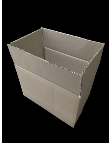 Caja Corrugada 30x20x20 X 1 (emp Congeladas)
