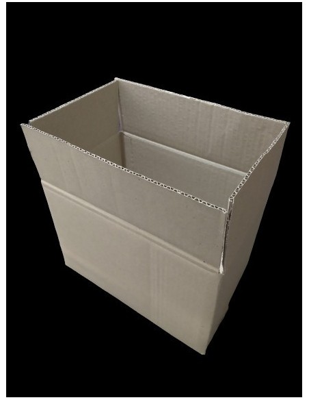 Caja Corrugada 30x20x20 X 1 (emp Congeladas)
