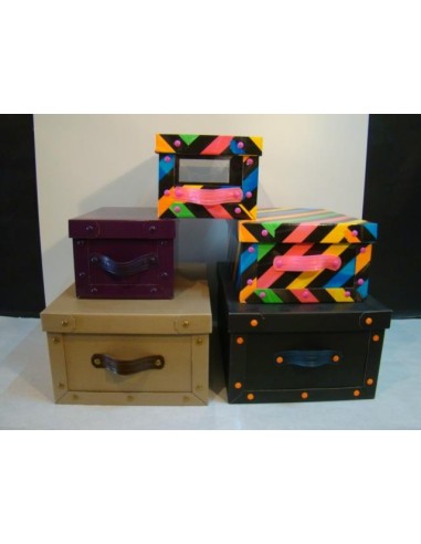 Baulera Chica Col Vs (32x23x18) X 1