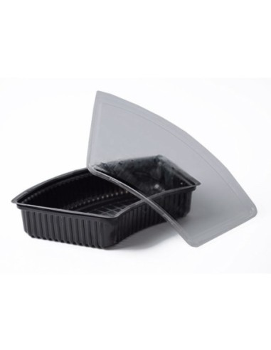 Bandeja Box 2 (sushi) C/tapa X 1