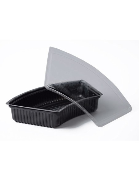 Bandeja Box 2 (sushi) C/tapa X 1
