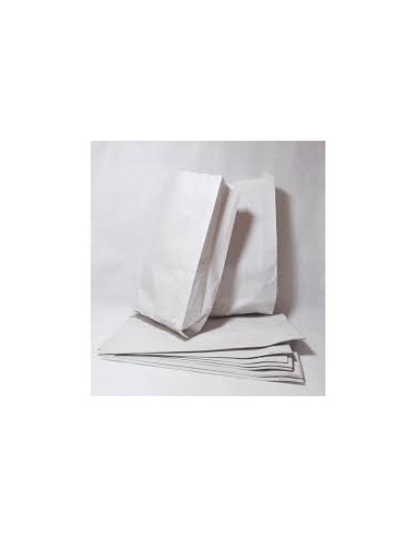 Bolsa Papel N 5 X 100