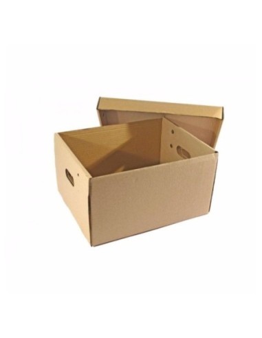 Caja Archivo