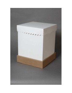 Caja Torta Dripcake Chica 25x25x32 X 1