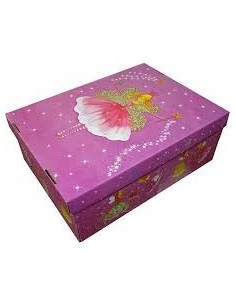 Caja Micro Box Grande X 1