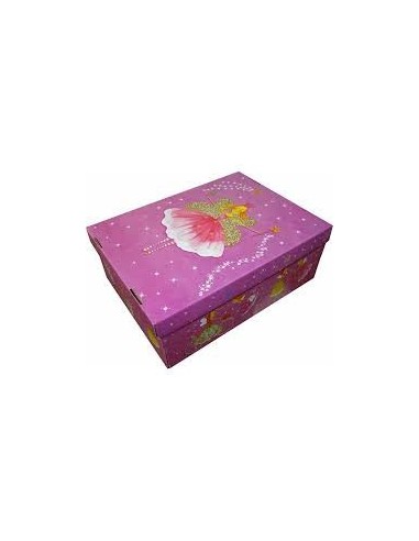 Caja Micro Box Grande X 1